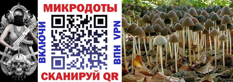 хочу наркоту Светлый Псилоцибиновые грибы Magic Shrooms